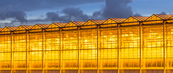 commercial building with glass exterior